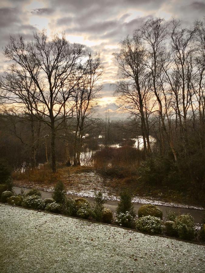 Moorblick! Grosse Dachwohnung Mit Kamin Und Sauna Leck Exteriör bild